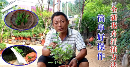 家庭养花用生根粉