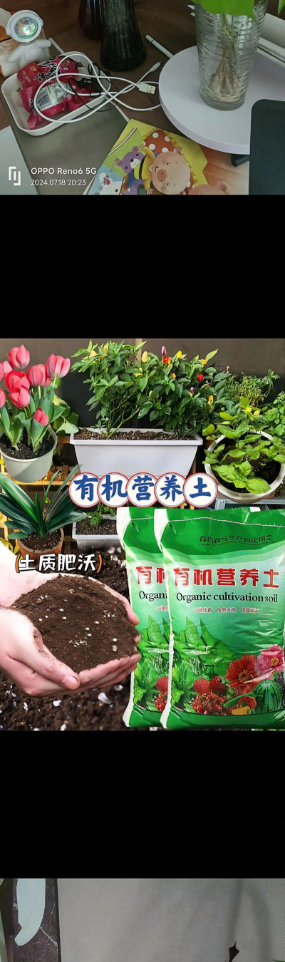 家庭养花用生根粉