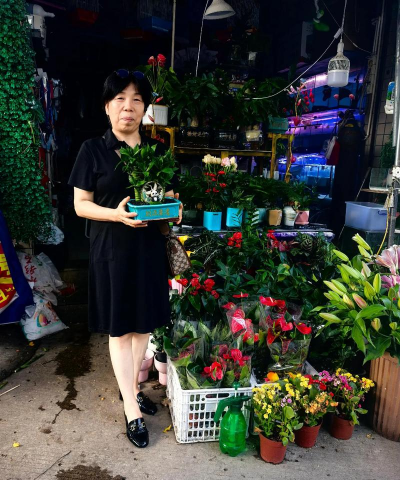 家庭养花用生根粉