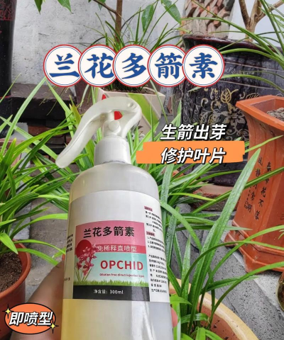 家庭养花用生根粉
