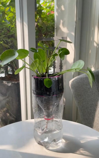 养花盆塑料花盆吸水