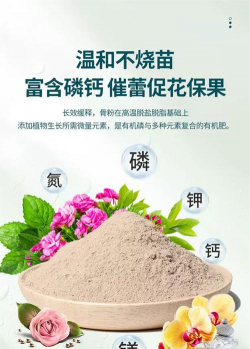 家庭养花用生根粉