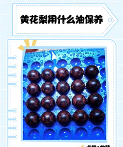保养花梨用什么