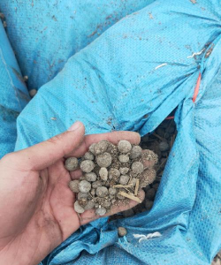 栽培的意思，核心概念，通俗理解