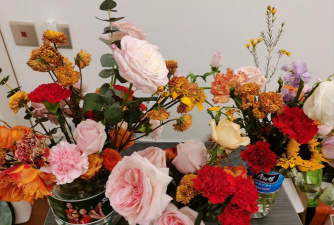 栽培的意思，核心概念，通俗理解