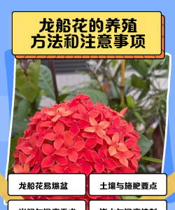 栽培的意思，核心概念，通俗理解