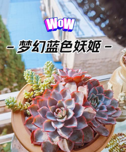 别墅园林绿化设计，打造私密空间，提升居住品质