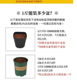 别墅园林绿化设计，打造私密空间，提升居住品质