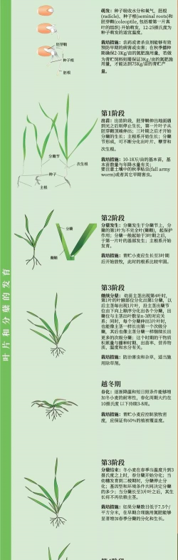 别墅园林绿化设计，打造私密空间，提升居住品质