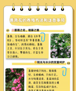 别墅园林绿化设计，打造私密空间，提升居住品质