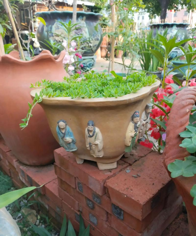 别墅园林绿化设计，打造私密空间，提升居住品质