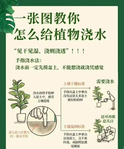 别墅园林绿化设计，打造私密空间，提升居住品质