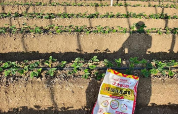 绿化景观设计，提升环境品质，创造宜人空间