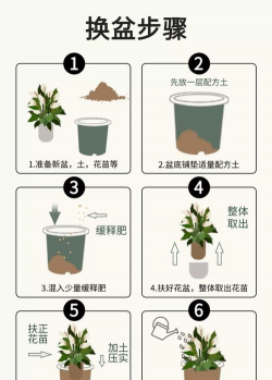 绿化景观设计，提升环境品质，创造宜人空间