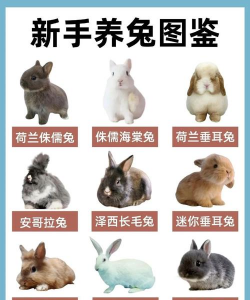 绿化景观设计，提升环境品质，创造宜人空间