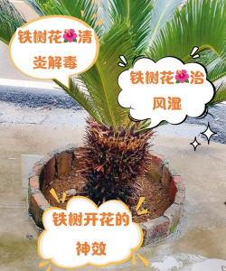 绿化景观设计，提升环境品质，创造宜人空间