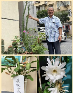 绿化景观设计，提升环境品质，创造宜人空间