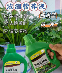 绿化景观设计，提升环境品质，创造宜人空间