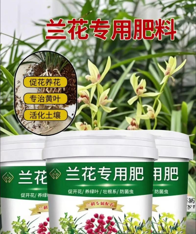 家庭养花用生根粉