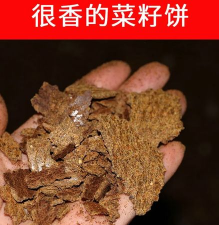 绿化景观设计，提升环境品质，创造宜人空间