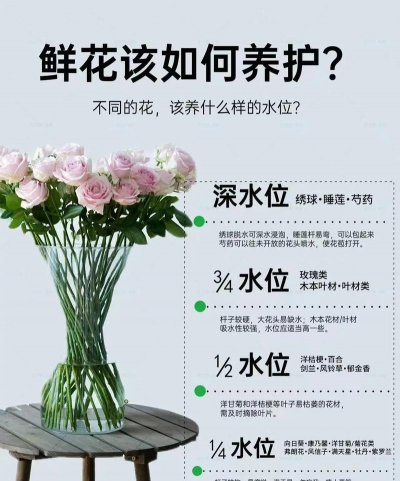 绿化景观设计，提升环境品质，创造宜人空间