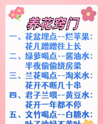 家庭养花用生根粉