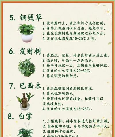 家庭养花用生根粉