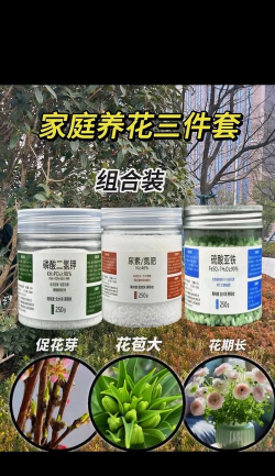 家庭养花用生根粉