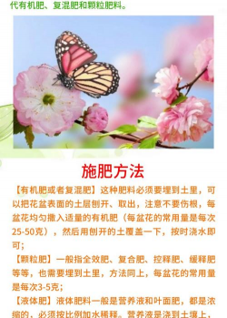 家庭养花用生根粉