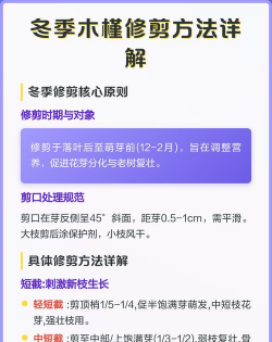 木槿冬季怎么修剪