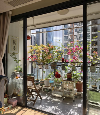 家庭养花用生根粉