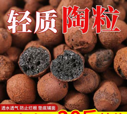 透气陶粒球养花专用