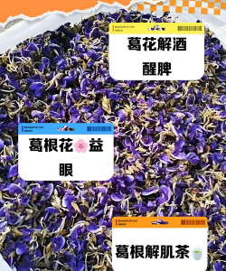 葛根泡水可以养花吗