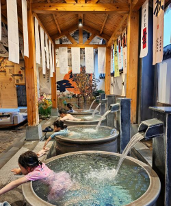 养花遛鸟泡澡堂子