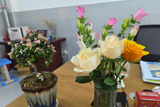 家庭养花用生根粉