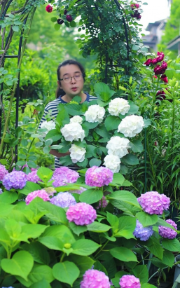 家庭养花用生根粉