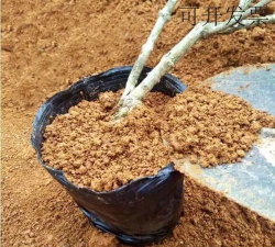 粘黄泥土养花好吗