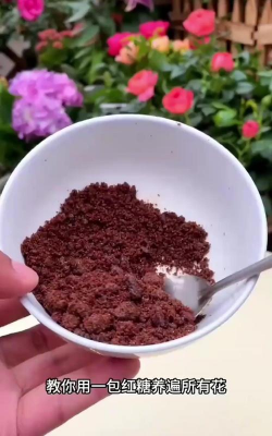 家庭养花用生根粉