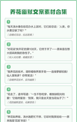 养花清闲文案短句搞笑