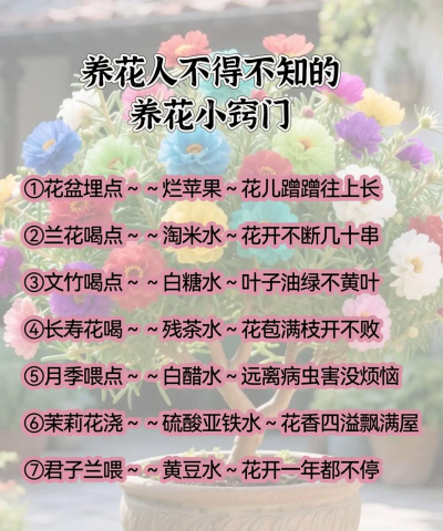 家庭养花用生根粉