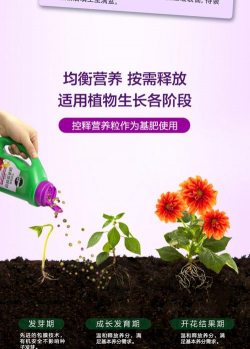 家庭养花用生根粉