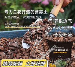 家庭养花用生根粉