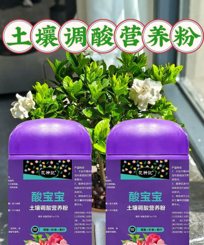 家庭养花用生根粉