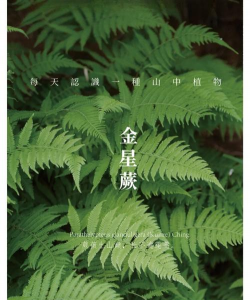 金星蕨属于什么种类