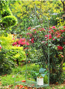 铁线莲爬藤架养花