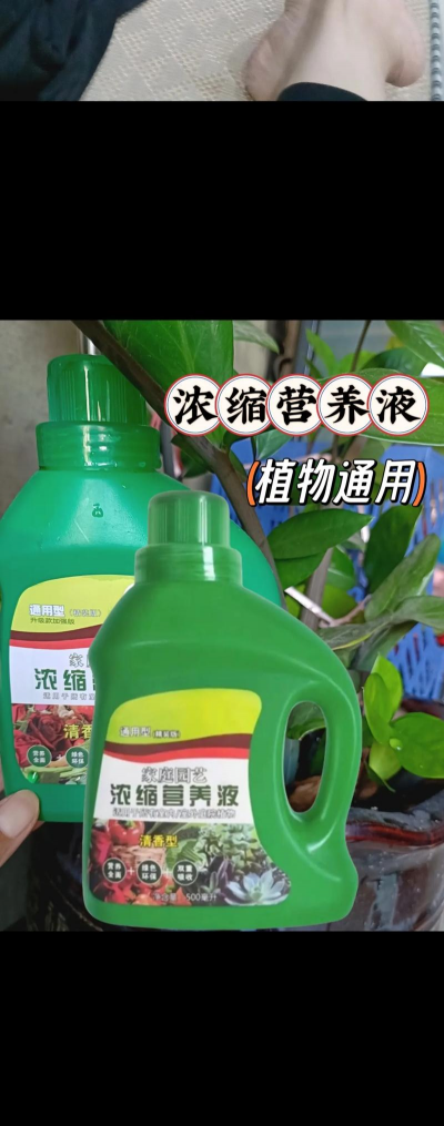 家庭养花用生根粉