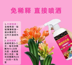 家庭养花用生根粉