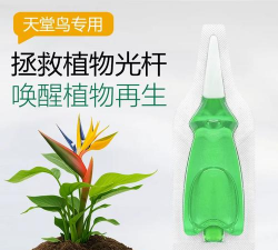 家庭养花用生根粉