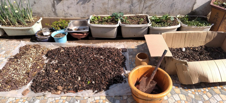 家庭养花用生根粉