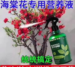 家庭养花用生根粉